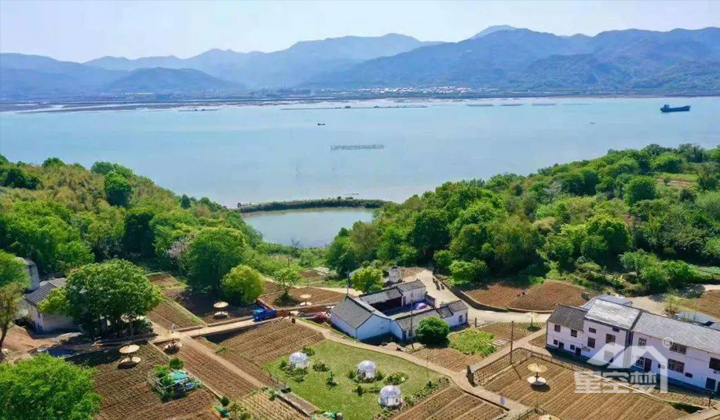 星空夢星空泡泡屋